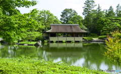 日本庭園