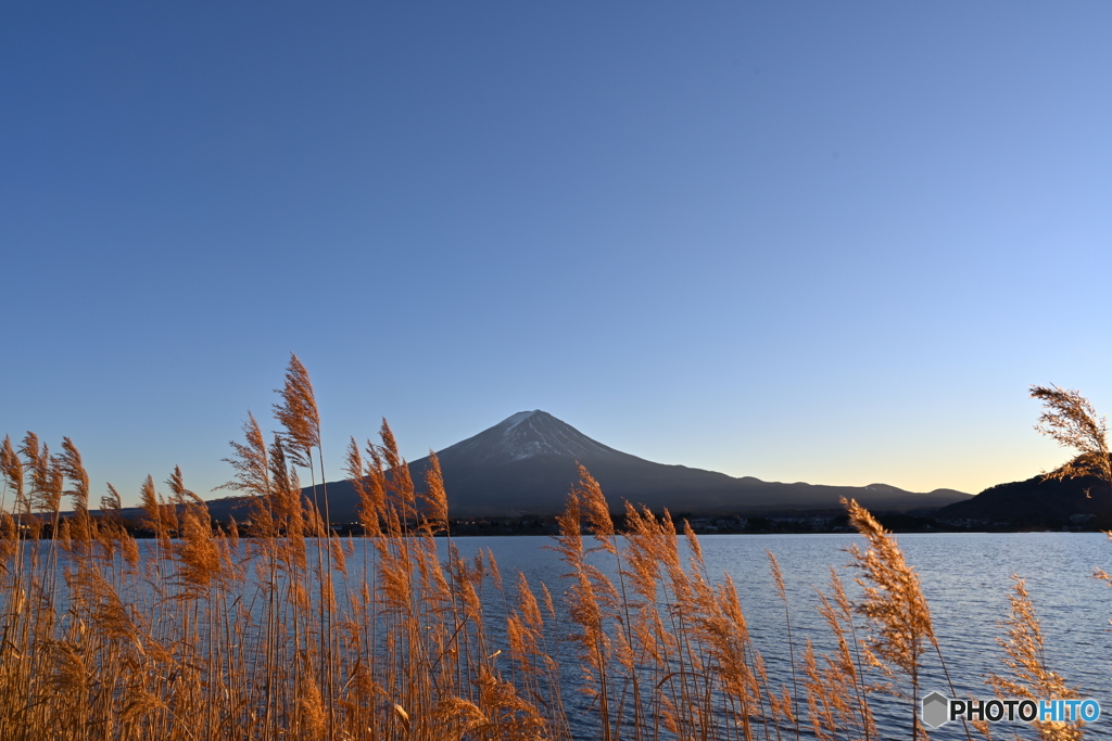 富士山