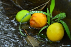 梅雨