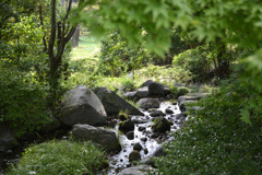 静かな渓流