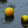 梅雨