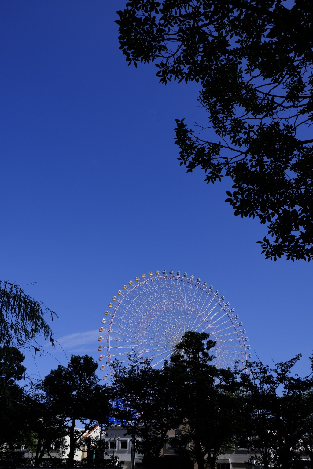 青と黒