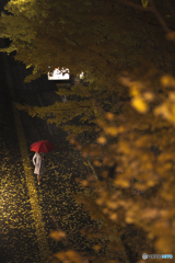 紅葉仙台
