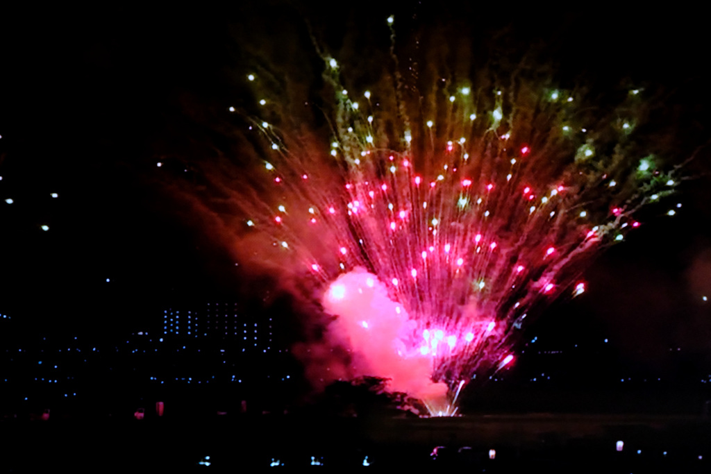 テレビで花火観賞２