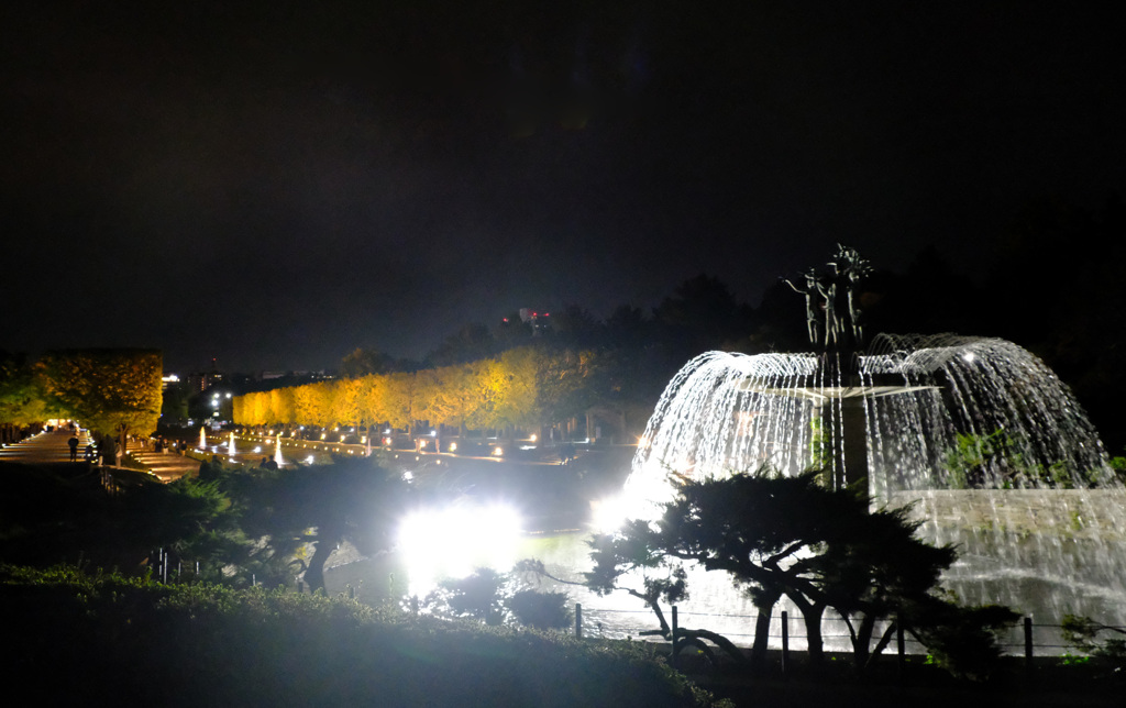 噴水と銀杏並木