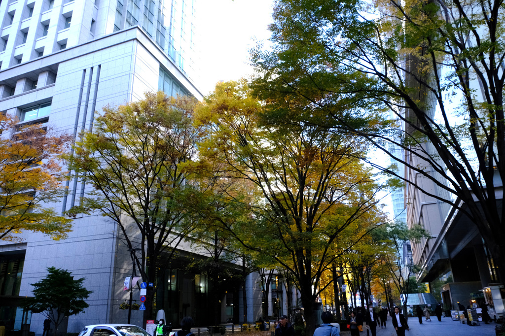 ビルの谷間の黄葉