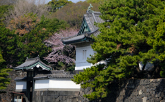 入れない桔梗門