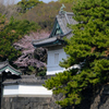 入れない桔梗門