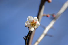 ここにもあった