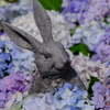 紫陽花の中にうさぎ