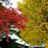 11月浄妙寺