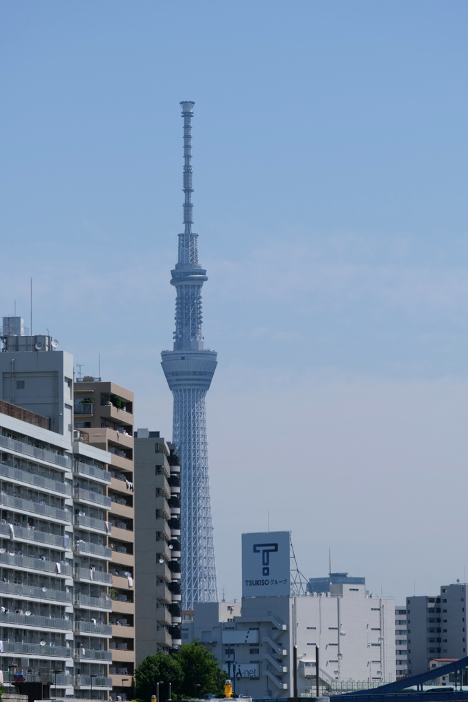 朝のスカイツリー