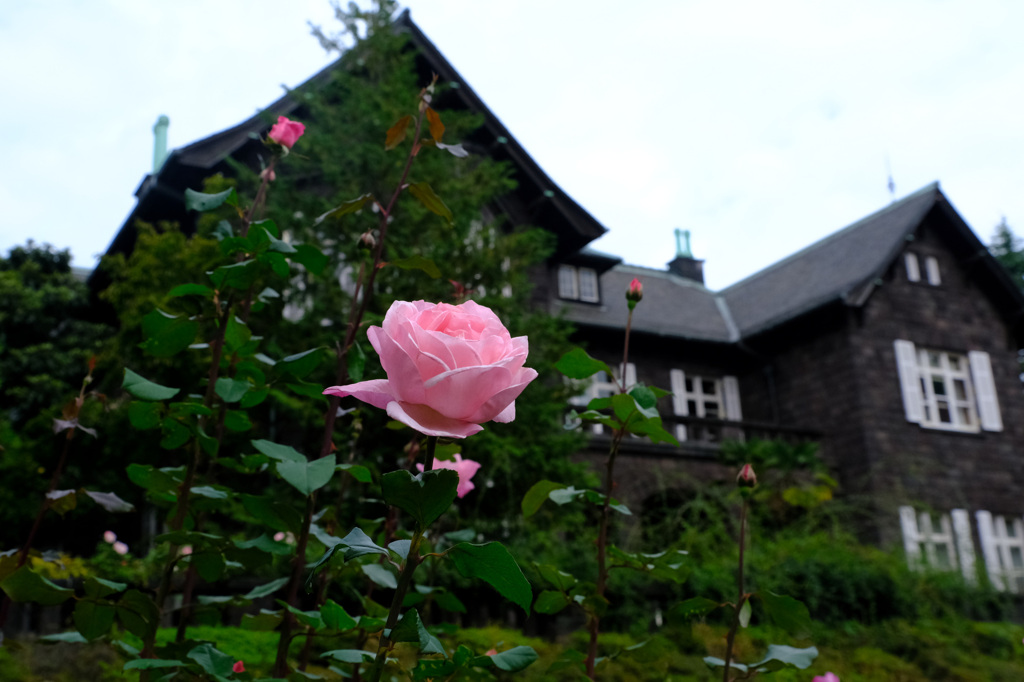 クイーン・エリザベス(米）と洋館