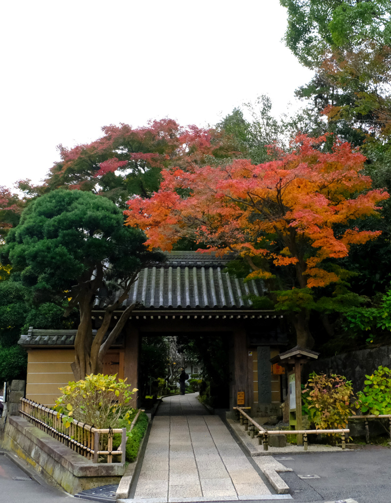 報国寺山門