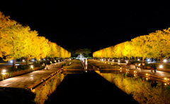 ややシンメトリー