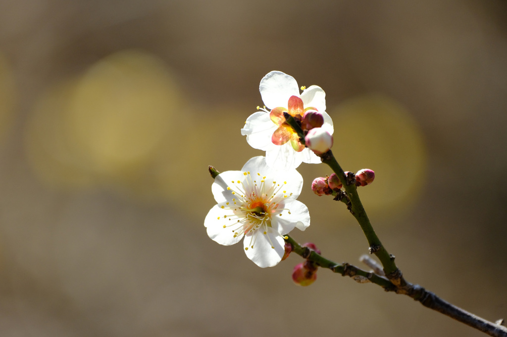 これからも探します