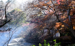 噴水と水煙と紅葉と