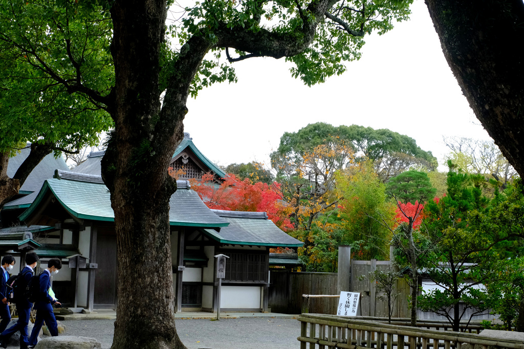 鶴岡八幡宮ぼたん苑入り口