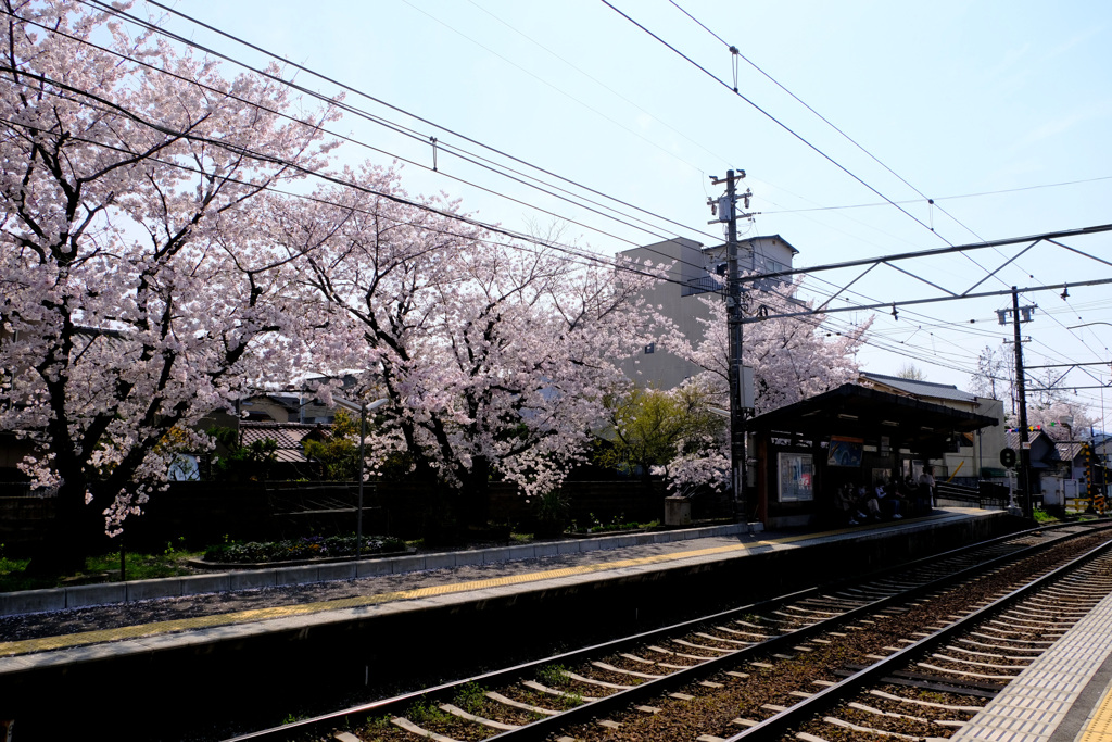龍安寺駅に到着