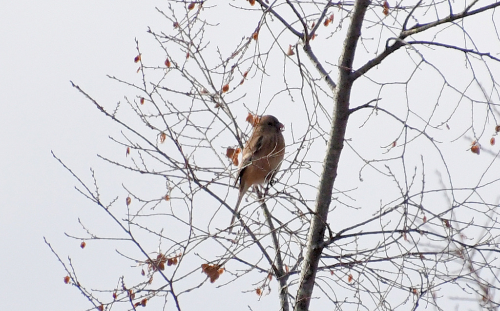 もぐもぐタイム