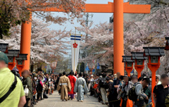 参考　2014年4月10日桜花祭