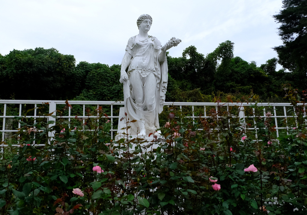 ロイヤルコーナーの一画