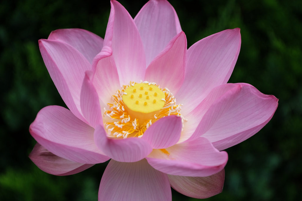 二日目７時３８分