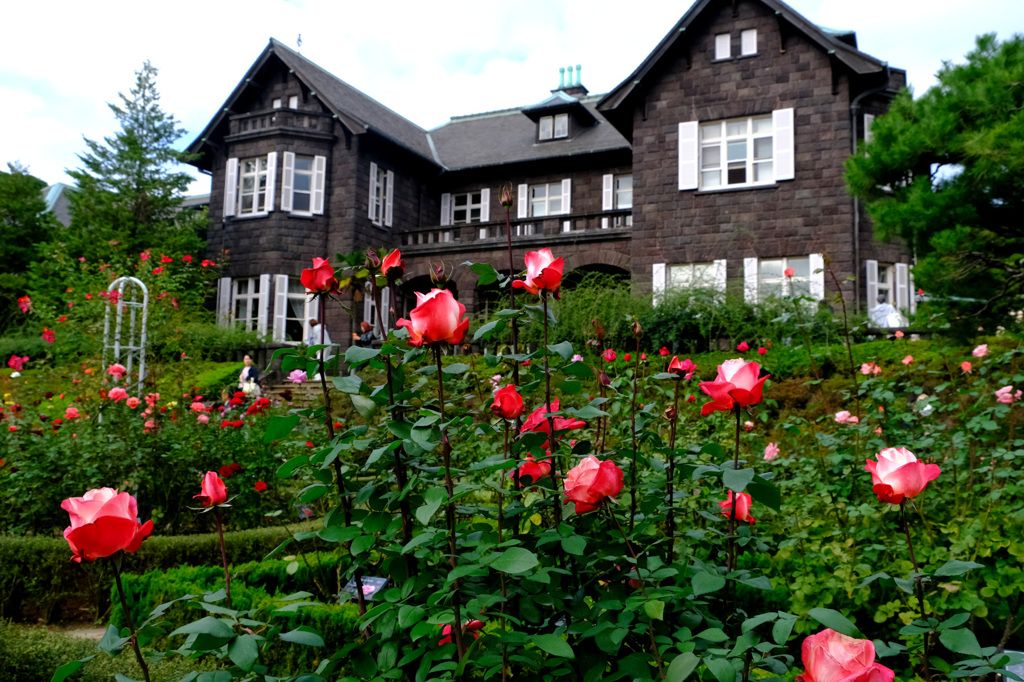丹頂（日）と洋館