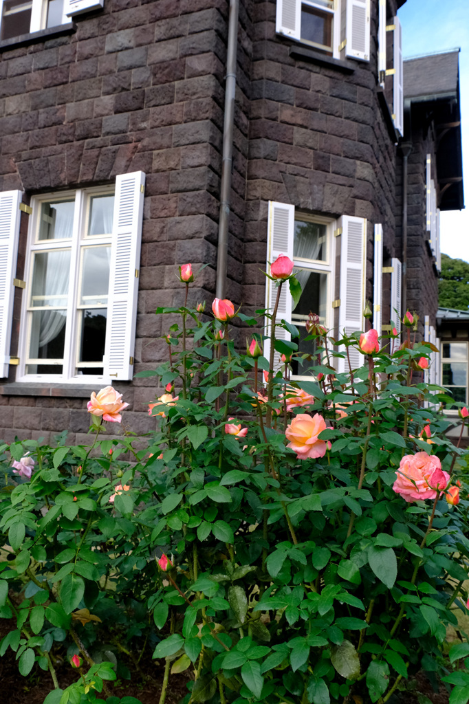 フロージン'82(独)２