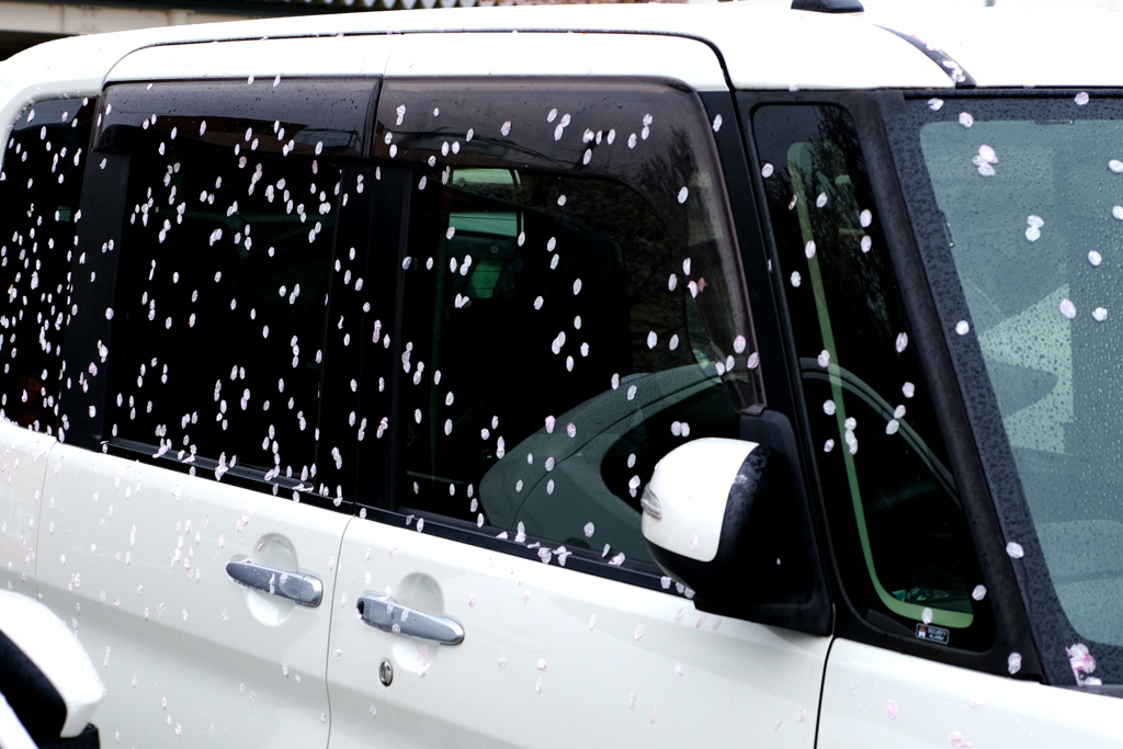 車に