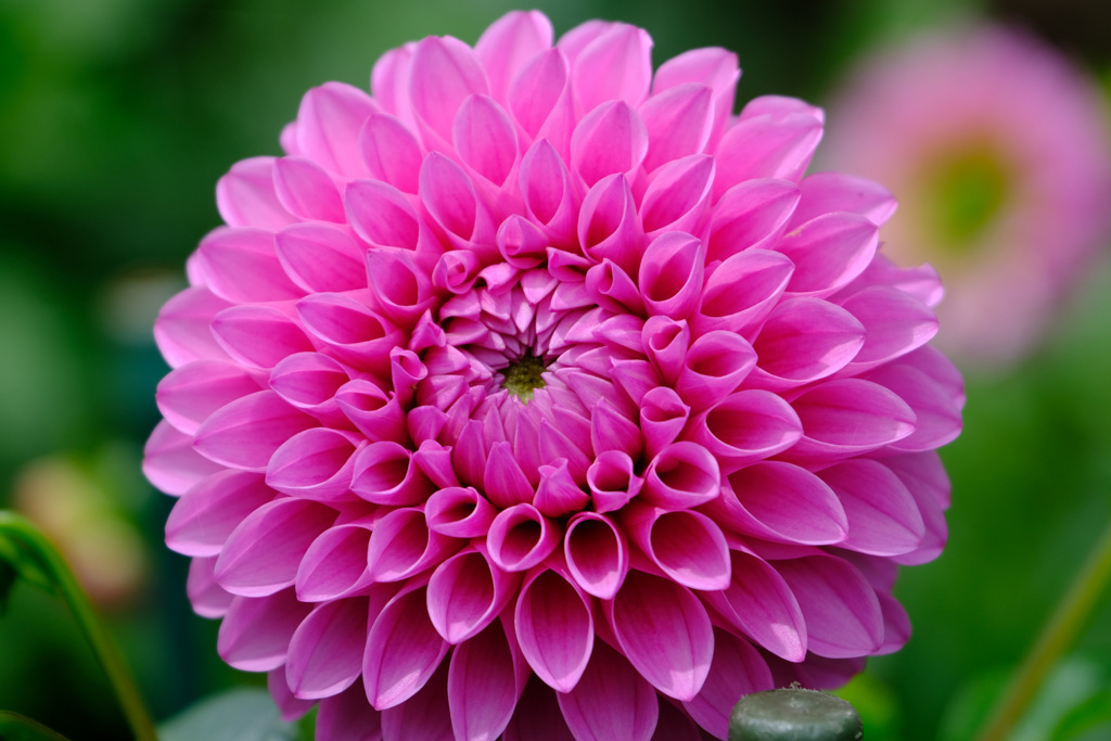 花火みたいな