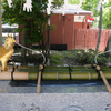 富岡八幡宮１