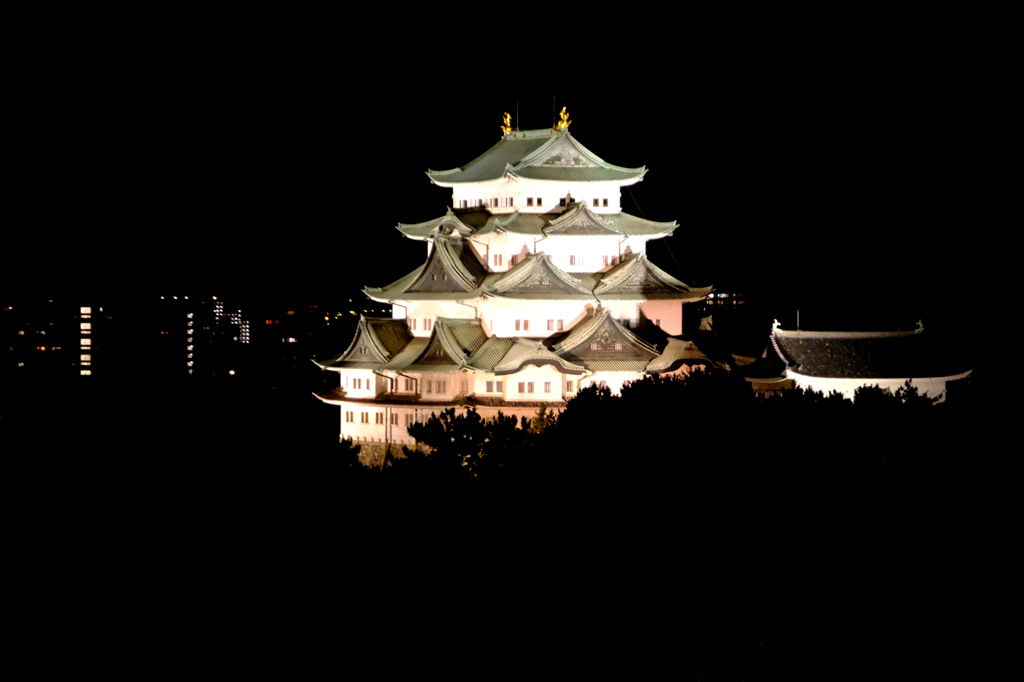 7月名古屋城ライトアップ