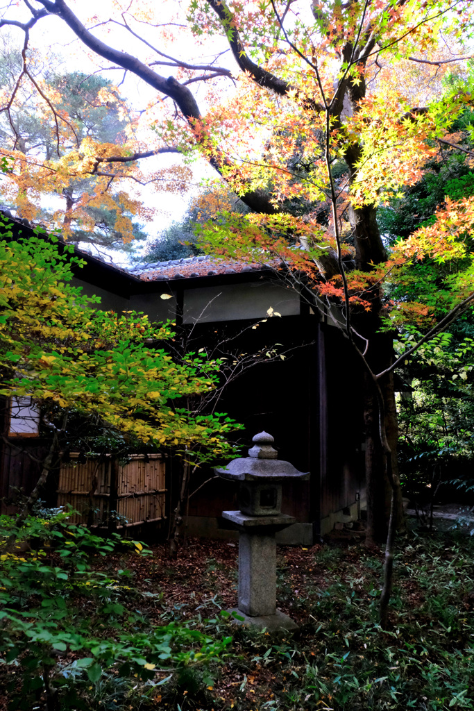 石灯籠と紅葉