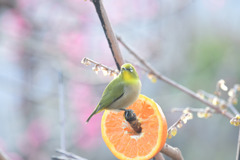ずっと待ってるよ
