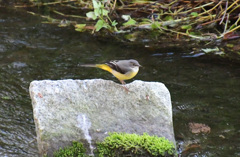 またここに戻った