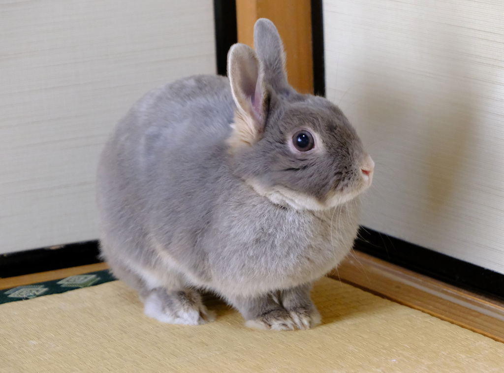 こわいと？目が飛び出しがち