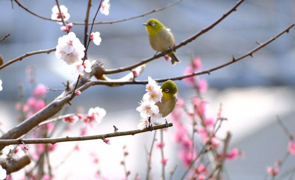 夢中