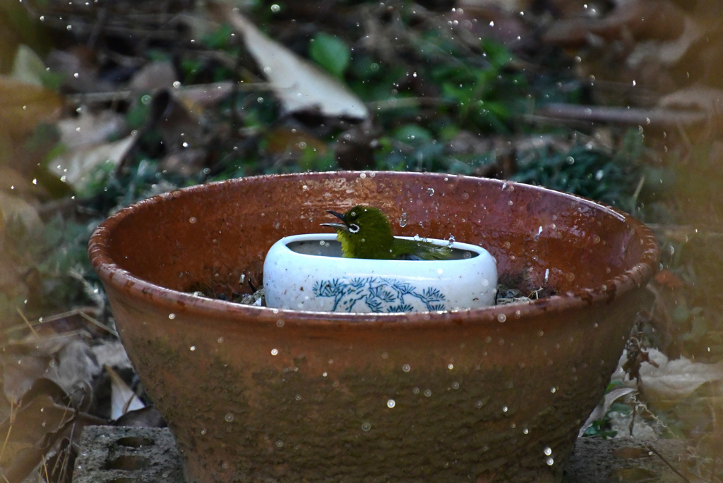 わーい、いい湯だな