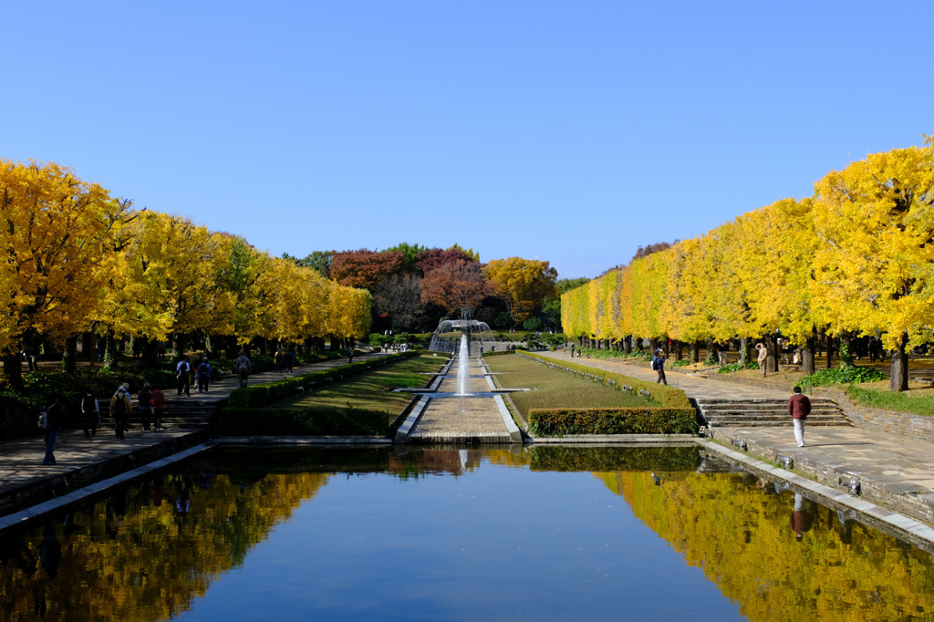 シンメトリーなカナール