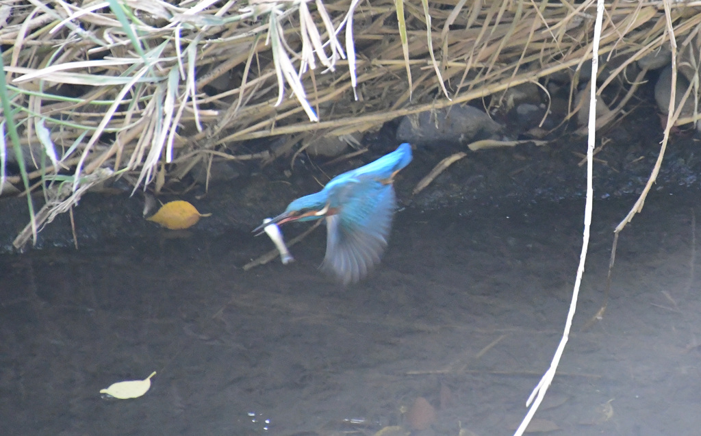 もっと安定したところへ