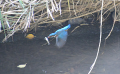 もっと安定したところへ