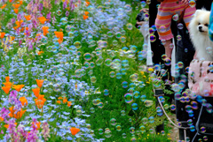 フォトサークル1位