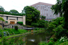 緑が多い