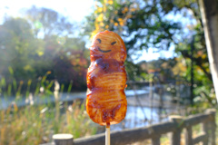 井の頭公園のおだんご