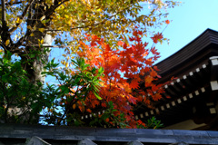 お寺の紅葉