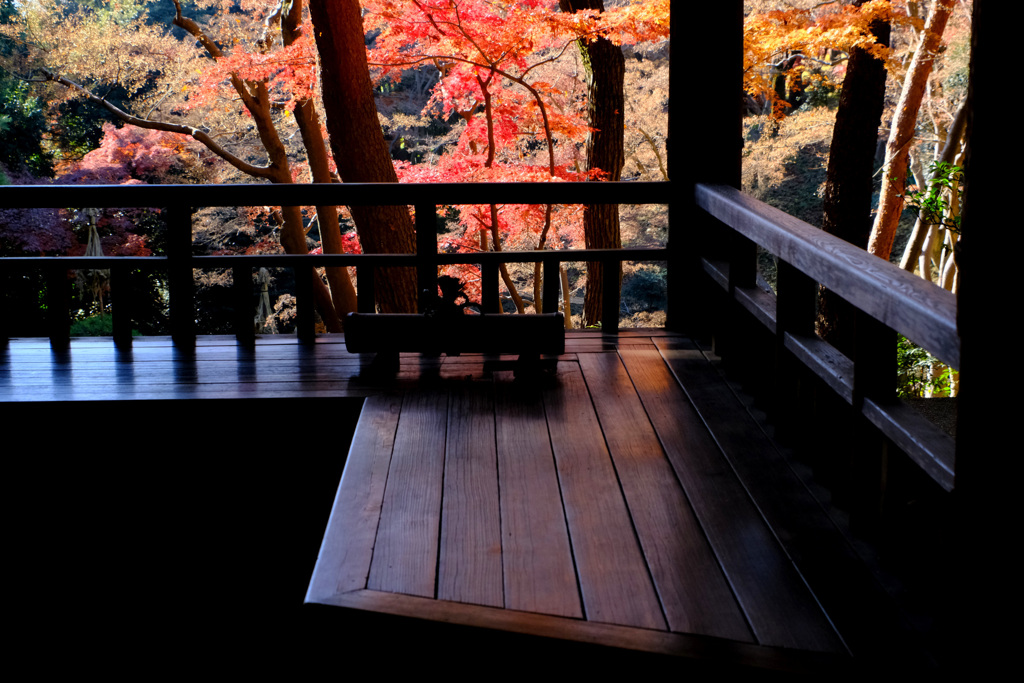 ちょっぴり床紅葉