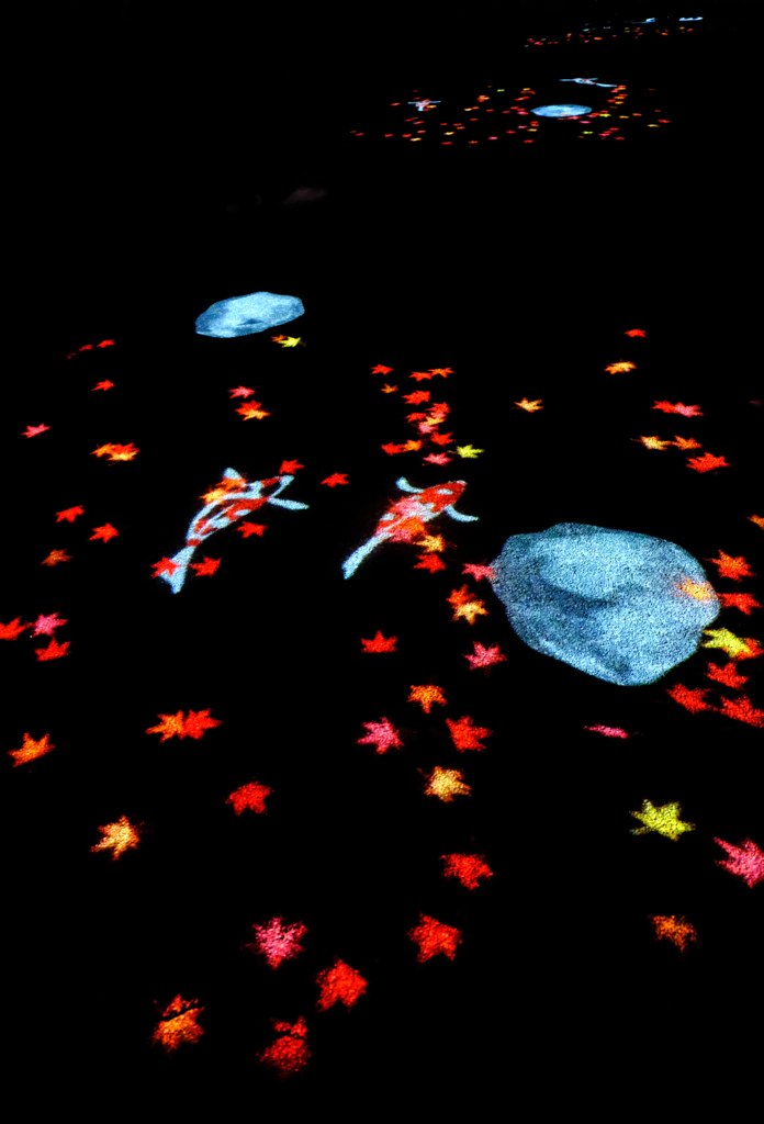 落ち紅葉と鯉のいるせせらぎ