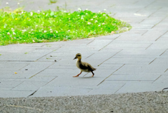 ９戻ってきた