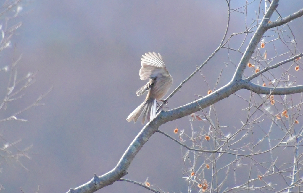 誰かな？こっちむいて
